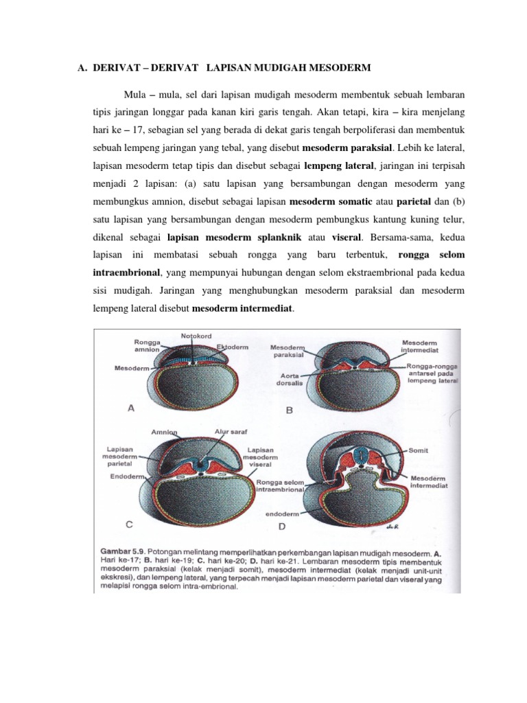 Derivat | PDF | Sains & Matematika