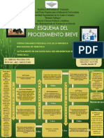 ESQUEMA PROCESAL CIVIL- ELVIS VALERA PROCEDIMIENTO BREVE