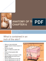 Anatomy of The Skin: Prepared By: Lesley Castle For The Baltimore School of Massage September 30, 2009