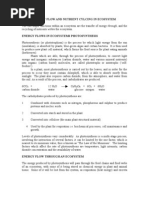 Download Energy Flow and Nutrient Cylcing in Ecosystem by api-27499979 SN7019076 doc pdf