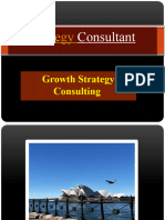 Strategy Consultant