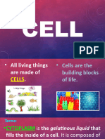 Cell Week 2