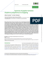 Physiological Responses of Gopher Tortoises