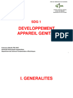 Développement L'appareil Génital 2020