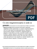 Magnetoreceptia