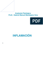 Inflamación - Anatomía Patológica
