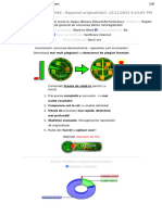 Raport Plagiat-Butacu Eduard