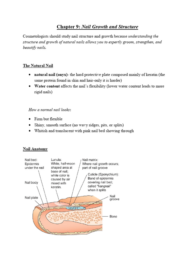 Cos Chapter 9 Nail Structure and Growth PDF Nail (Anatomy) Skin