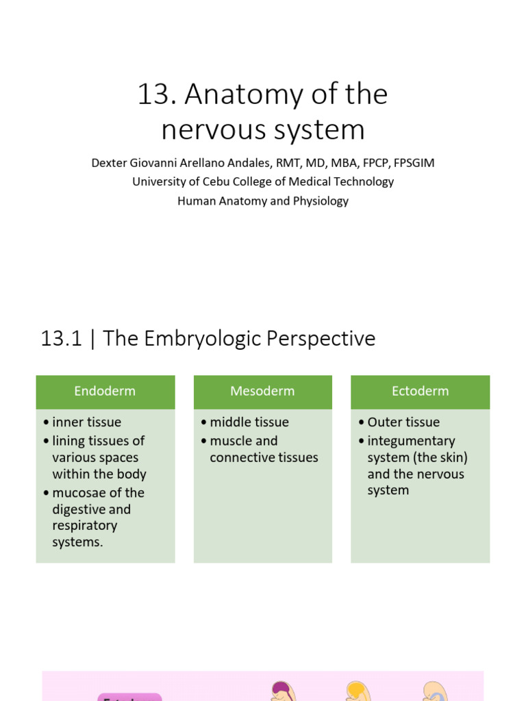 Anatomy visual data 3