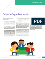 S10. Cultura Organizacional