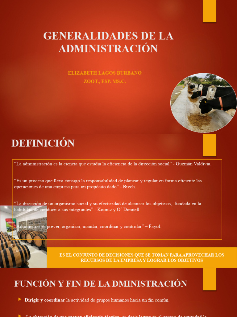 generalidades-de-la-administraci-n-pdf-business-economias