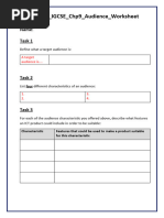 Ict Igcse chp9 Audience Worksheet