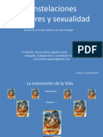 Constelaciones Familiares y Sexualidad-1 - 231229 - 080727