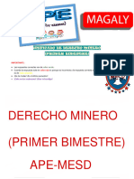 APE de Derecho Minero - Primer Bimestre - Unificado - MESD