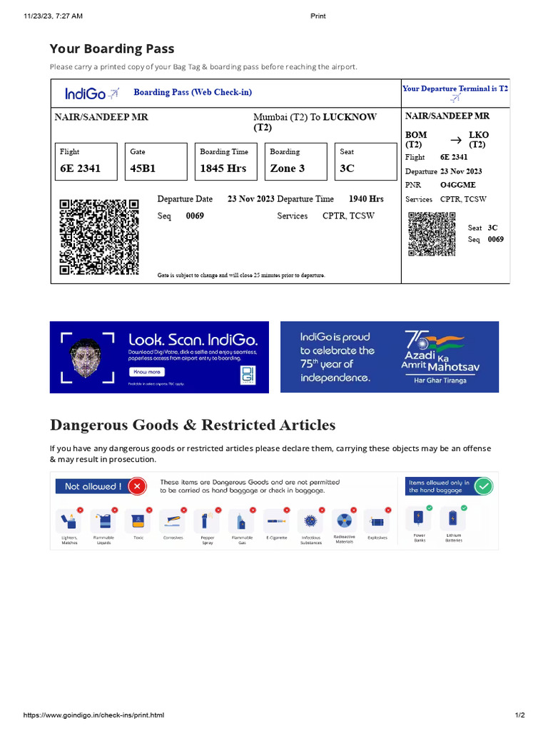 Mumbai Lucknow Boarding Pass PDF Baggage Transport