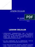 Seminario de Lesion Celular