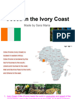 Cocoa in The Ivory Coast