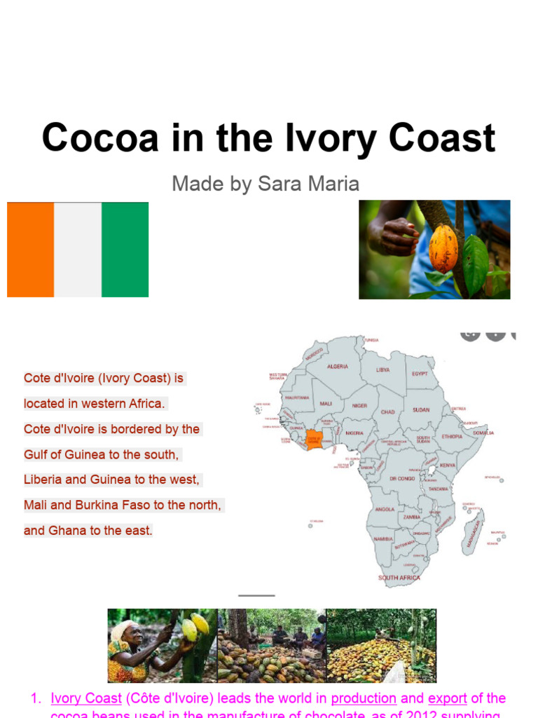 Cocoa in The Ivory Coast | PDF