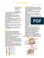 7-Coluna Vertebral