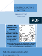 Female Reproductive System