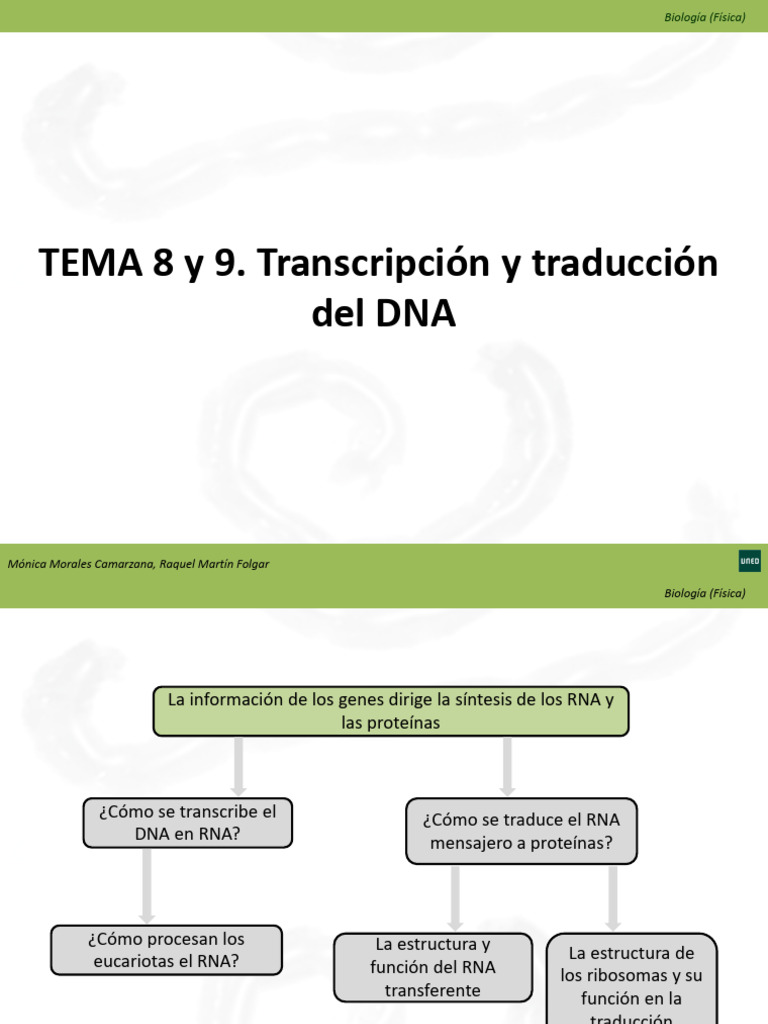 Tema 8 y 9 | PDF | Rna | Adn