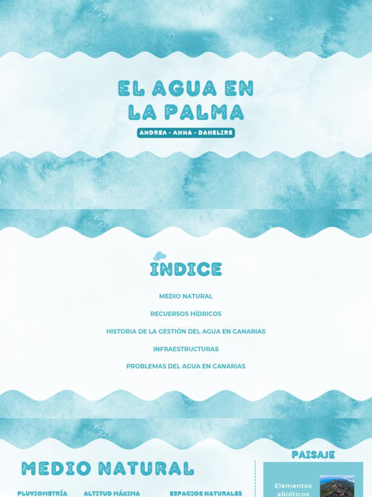 gesti-n-del-agua-en-la-palma-pdf-agua-recursos-h-dricos