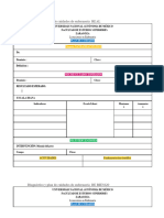 FORMATO DE Plan de Cuidados de Enfermería REAL