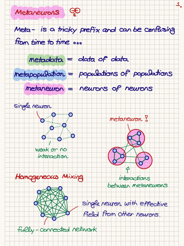 Neuroscience: Meta Neurons Explained | PDF | Computational Neuroscience ...