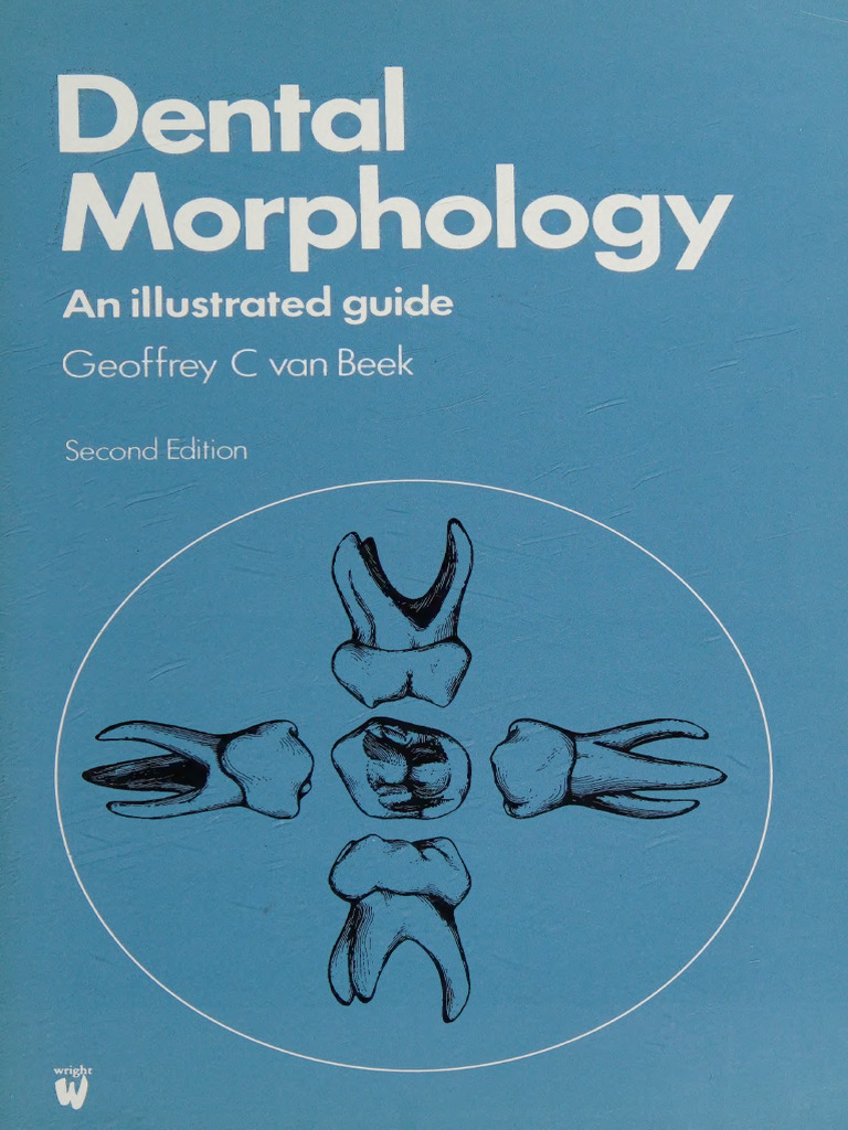 歯科 ZERO別冊 歯牙形態 Natural Tooth Morphology