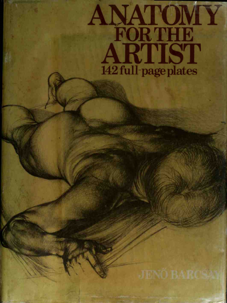 Anatomy for Artists by Jeno Barcsay | PDF | Anatomical Terms Of