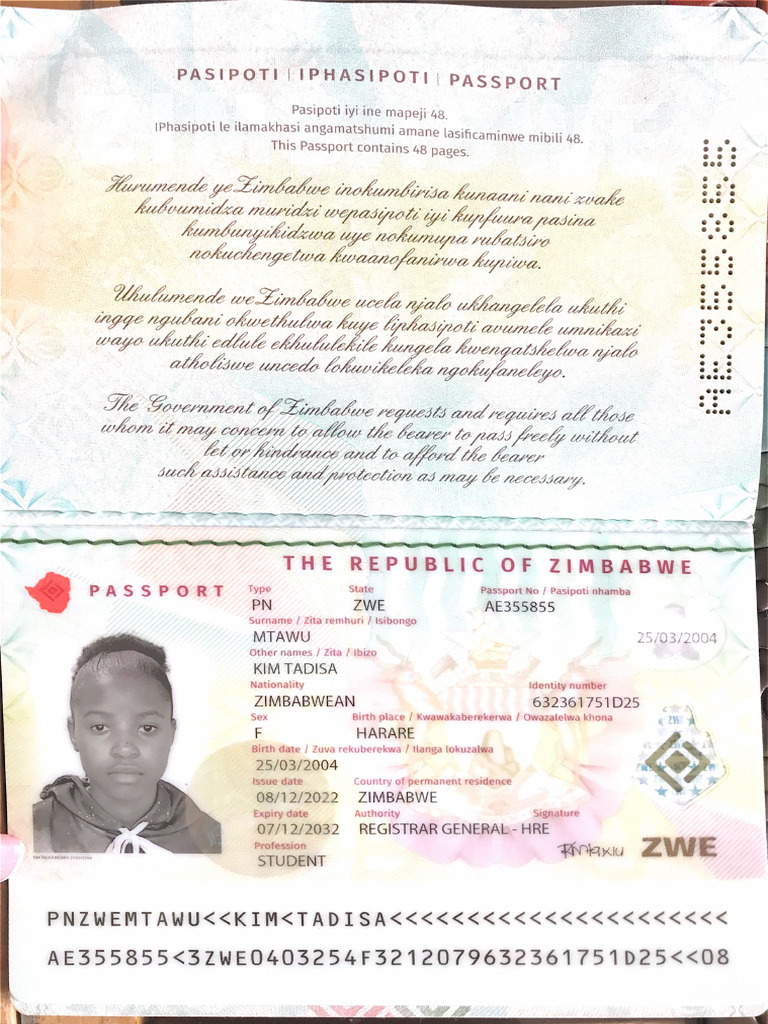 Passport | PDF