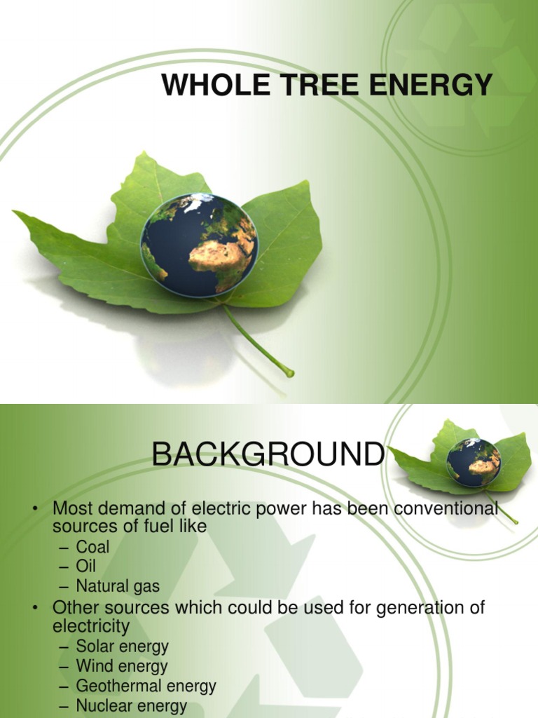 Whole Tree Energy | PDF | Fuels | Renewable Energy
