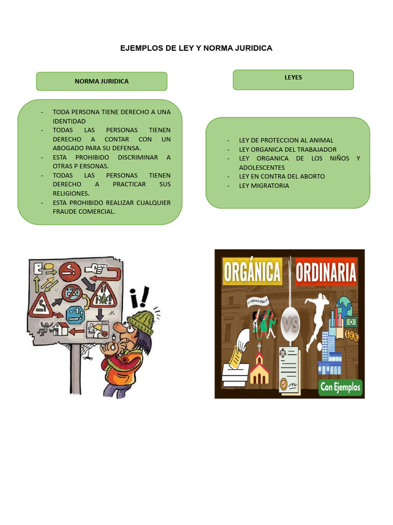 Ejemplos de Ley y Norma Juridica | PDF