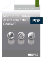 Module18 Version20109 IntangibleAssets