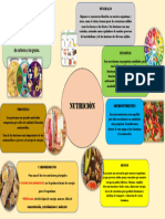 Infografia Nutricion