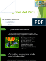 Ecorregiones Del Perú