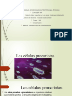 Las Células Procariotas