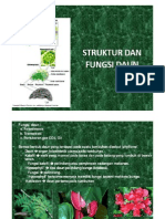 Struktur Dan Fungsi Daun (Compatibility Mode)