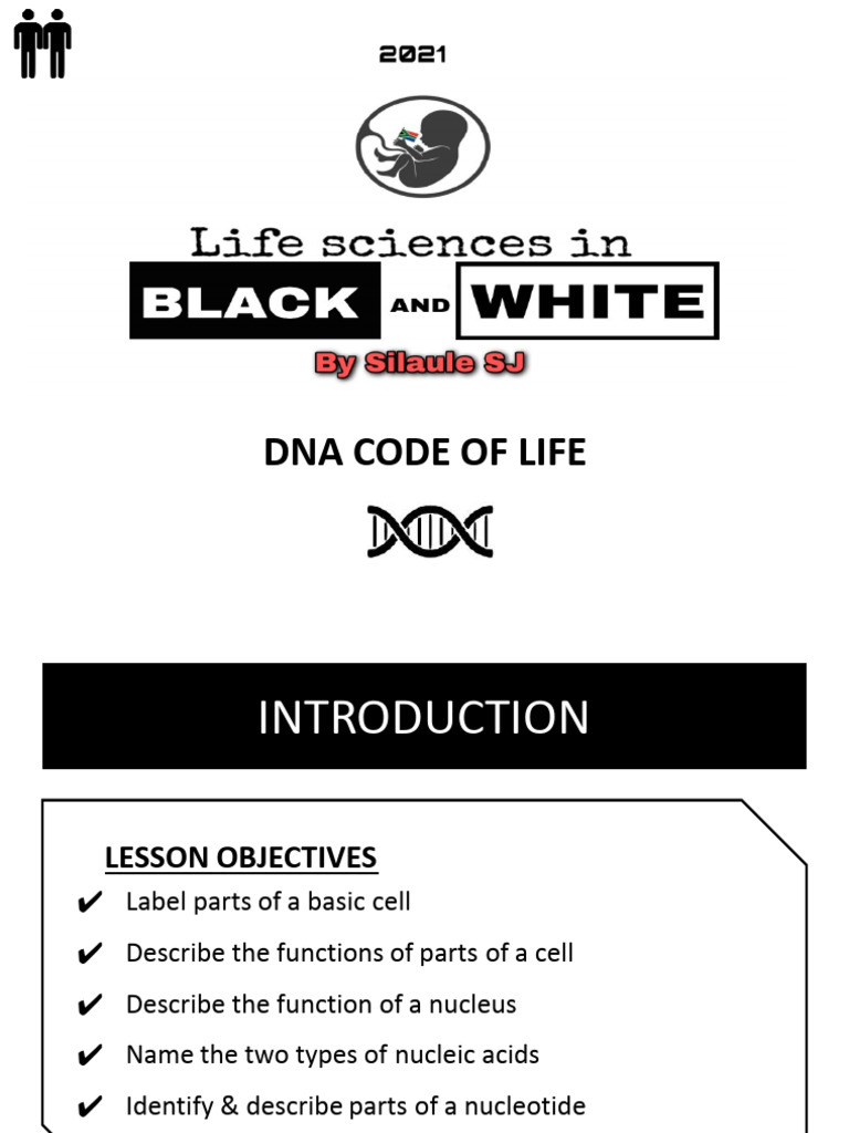 DNA Basics for Biology Students | PDF | Rna | Dna