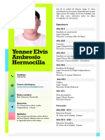 CV FINAL Yenner Elvis Ambrosio Hermocilla