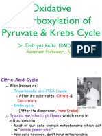 Lecture-3 On CHO Metabolism