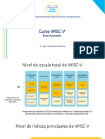 WISC-V. Nivel Avanzado