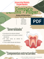 Complejo Dentino - Pulpar Presentación