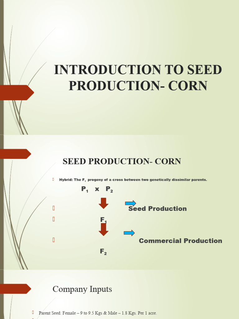 Corn Seed Production Guide | PDF | Technology & Engineering | Science ...