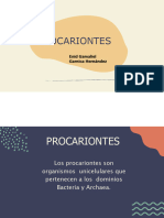 PROCARIONTES