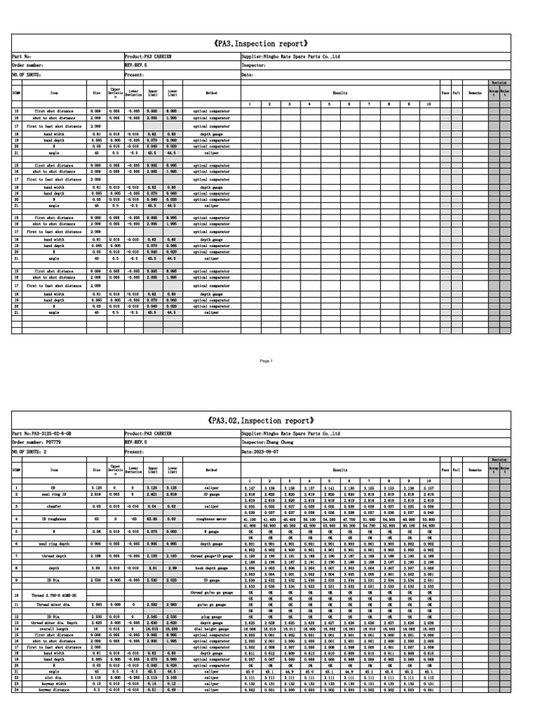 PA3 Carrier Inspection Report | PDF | Length | Distance