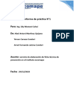 Informe de Practica de Andamios #001