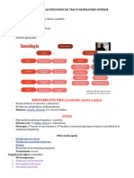 Semiologia de Las Infecciones Del Tracto Respiratorio Superior