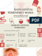 Aparato Reproductor Femenino y Mamas Final