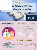 Enfoque Toxicológico Del Acetaminofén en Gatos